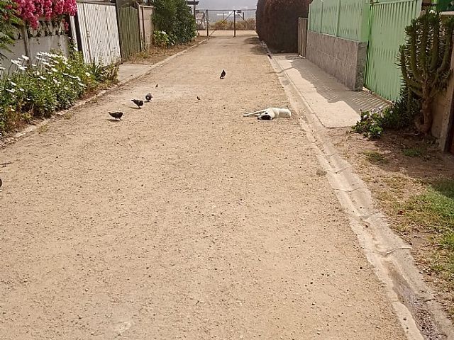place photo 29