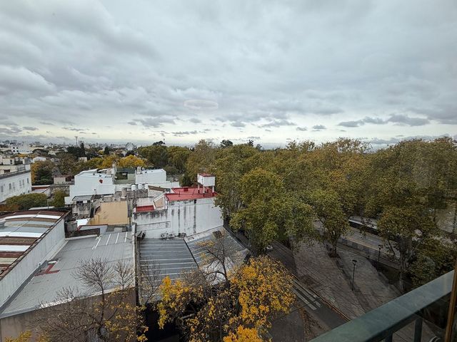 place photo 35
