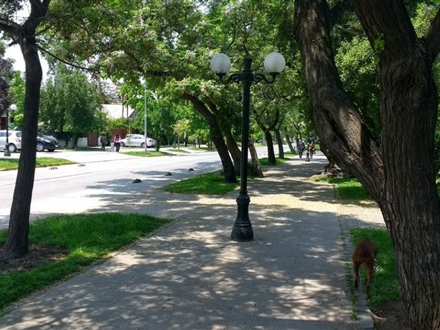 place photo 28