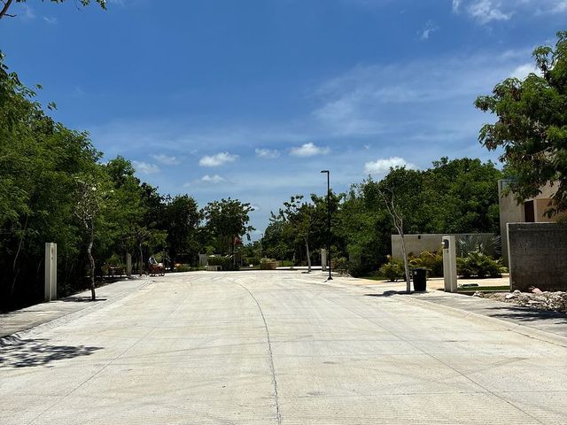 place photo 47