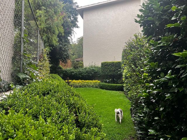 place photo 36