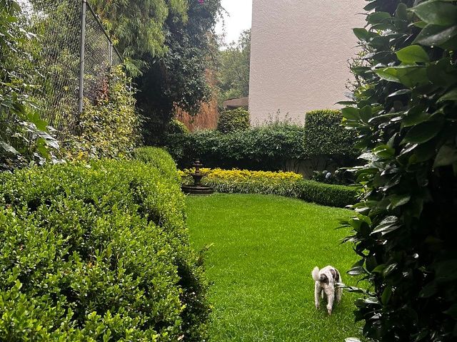 place photo 34