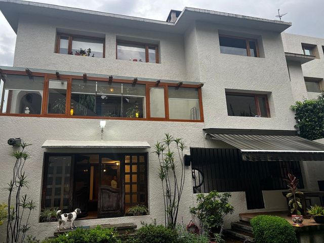 place photo 37