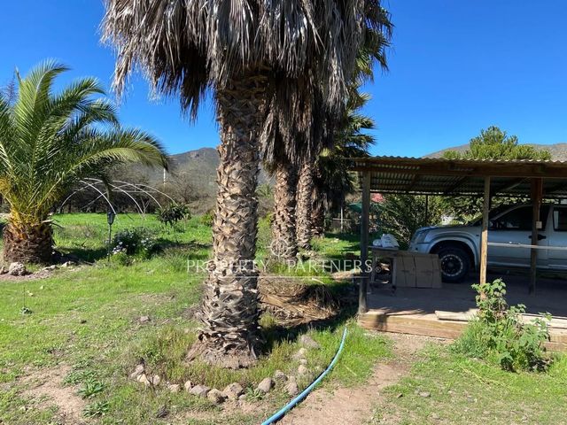 place photo 45