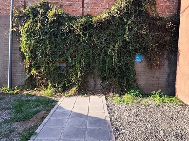 place photo 35