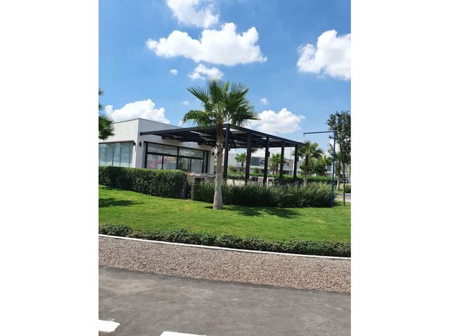 place photo 23