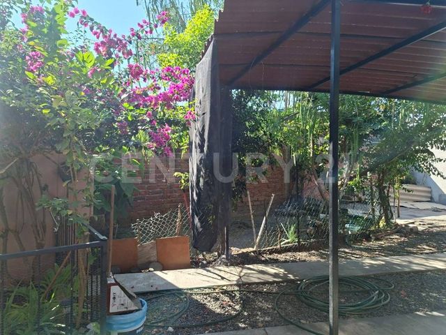 place photo 13
