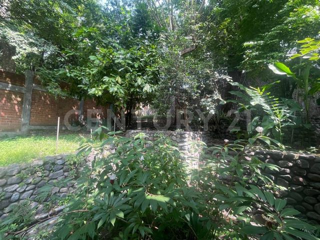 place photo 48