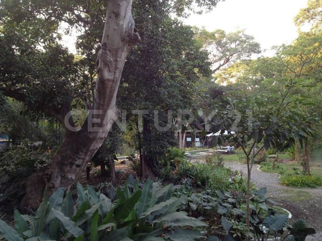 place photo 40