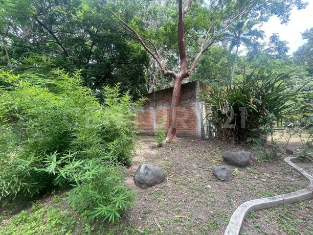 place photo 59