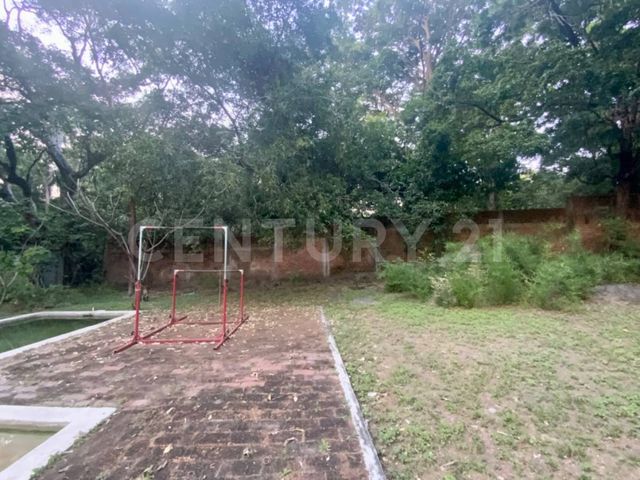 place photo 58