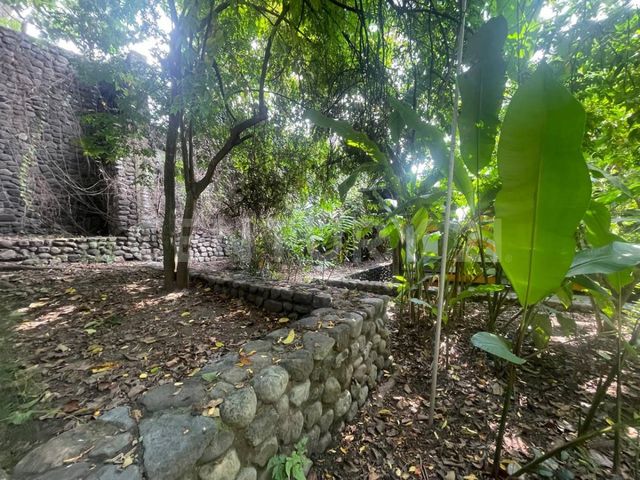 place photo 46