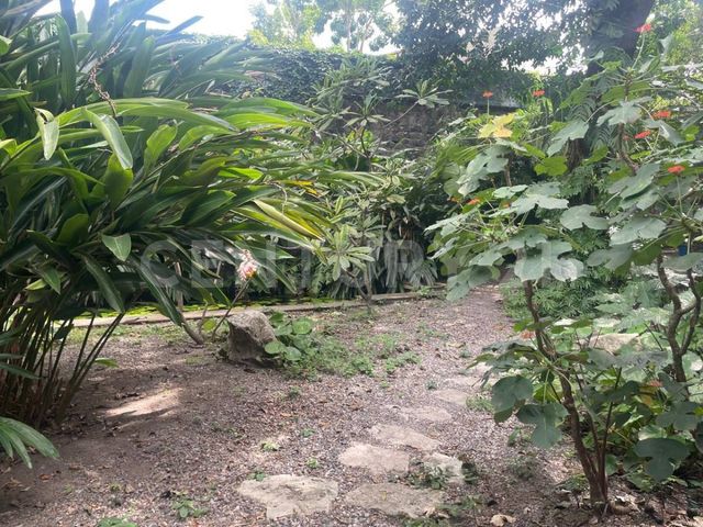 place photo 52