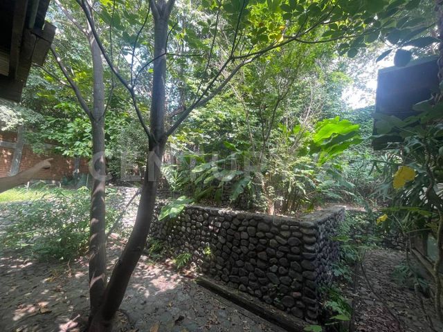 place photo 51