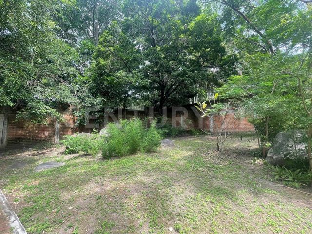 place photo 55