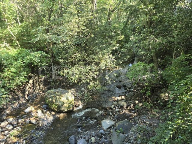 place photo 72