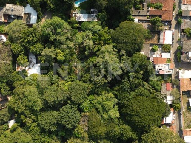 place photo 71