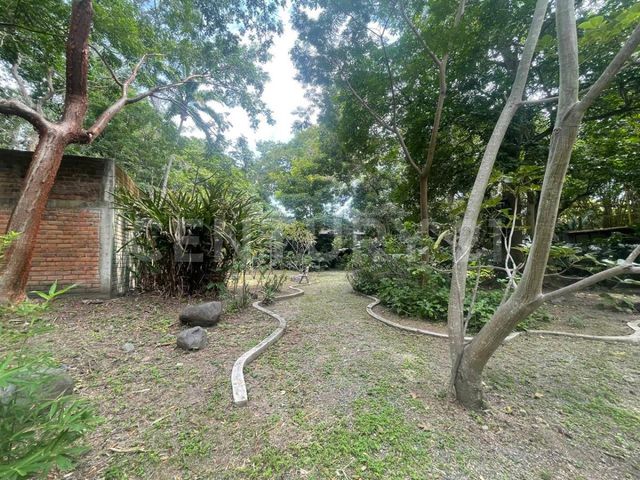 place photo 60