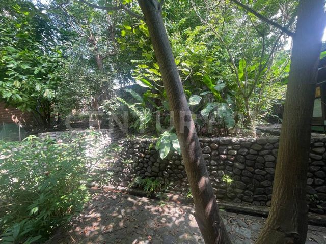 place photo 50