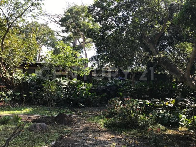 place photo 43