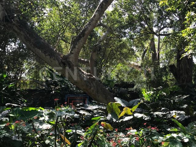 place photo 41