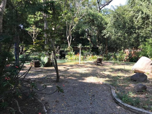 place photo 42