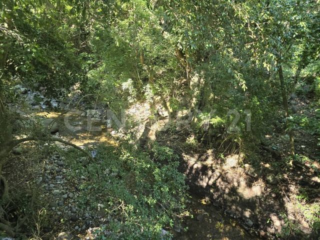 place photo 73