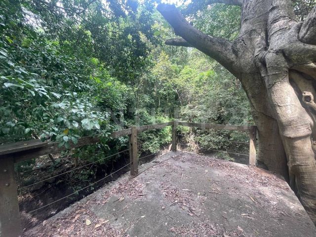 place photo 65