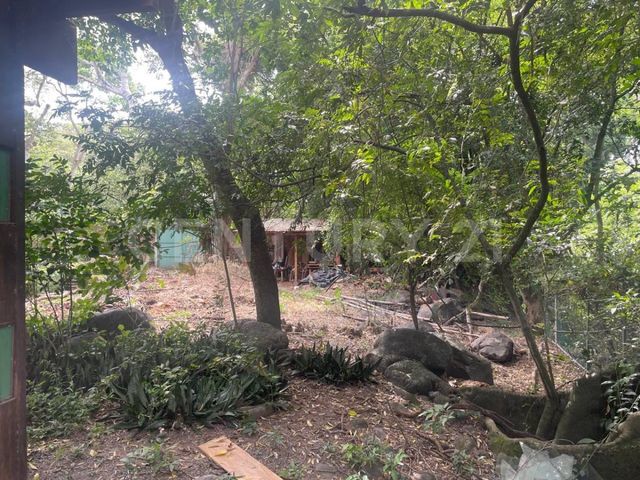 place photo 54