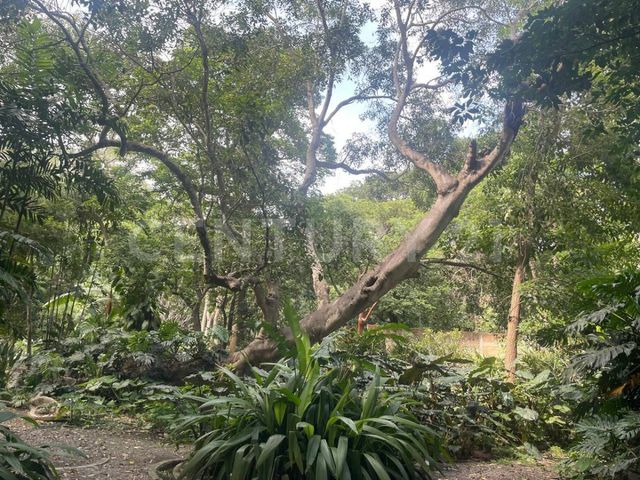 place photo 45