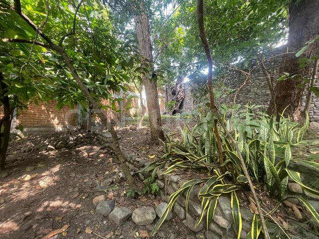 place photo 47