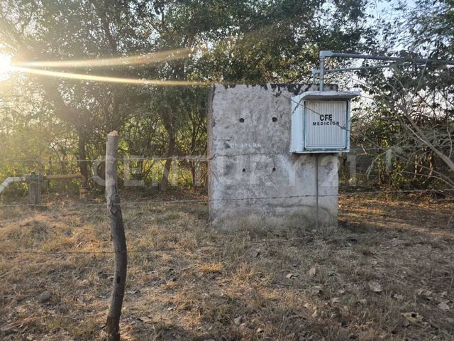 place photo 17