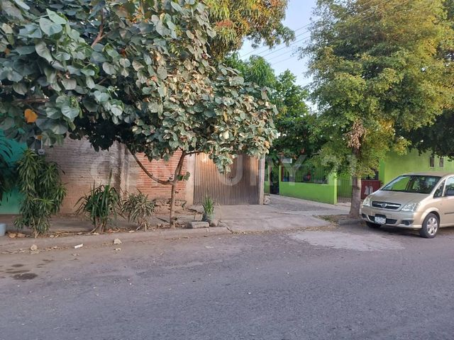 place photo 54
