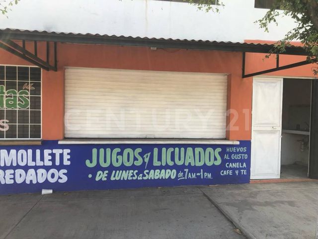 place photo 10