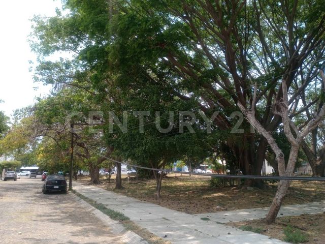 place photo 34