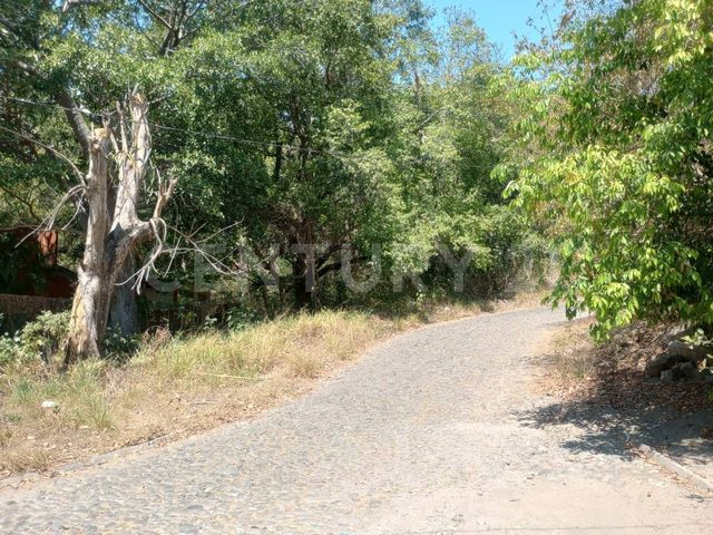place photo 14