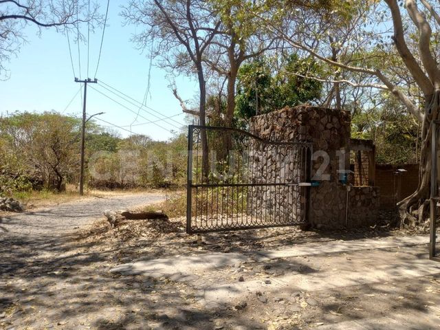 place photo 17