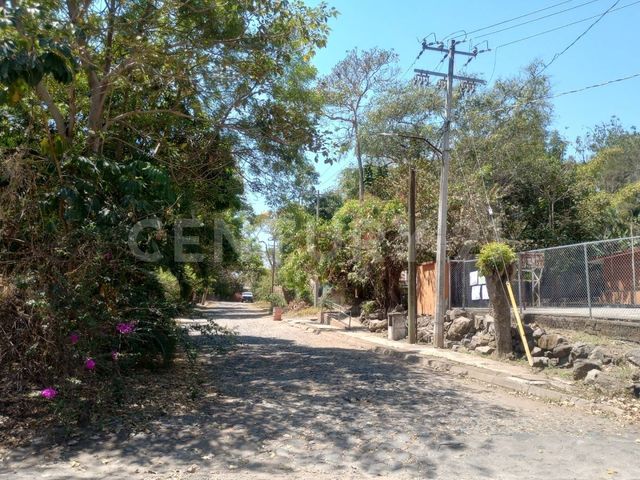 place photo 23