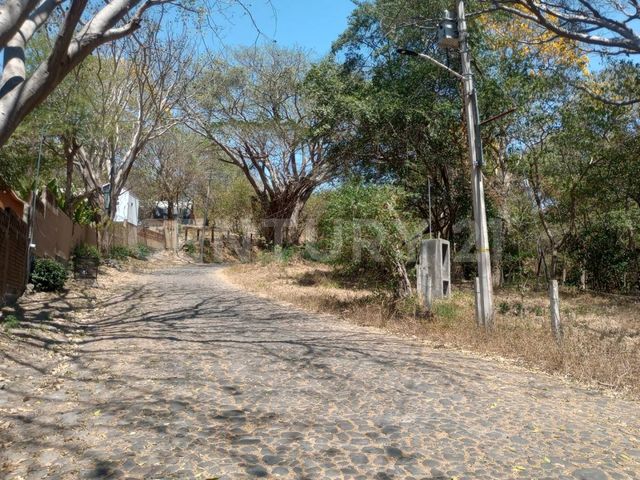 place photo 11
