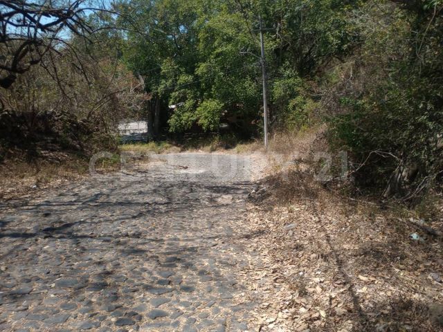 place photo 15