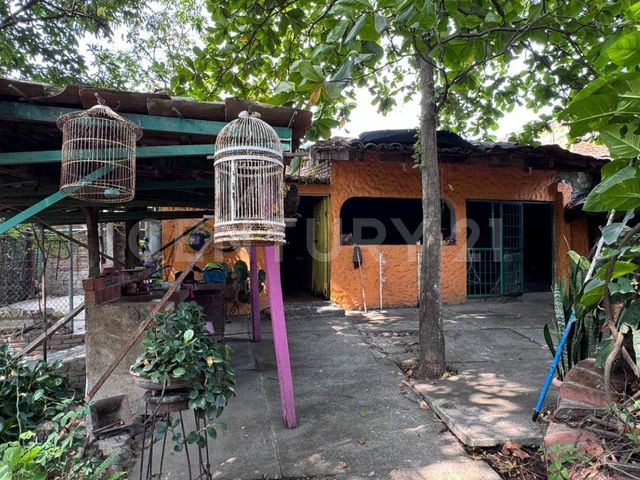 place photo 21