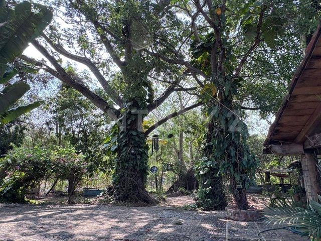 place photo 12