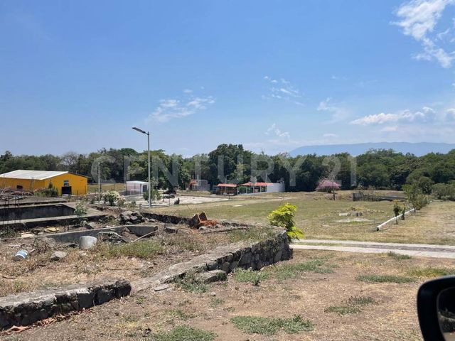 place photo 36