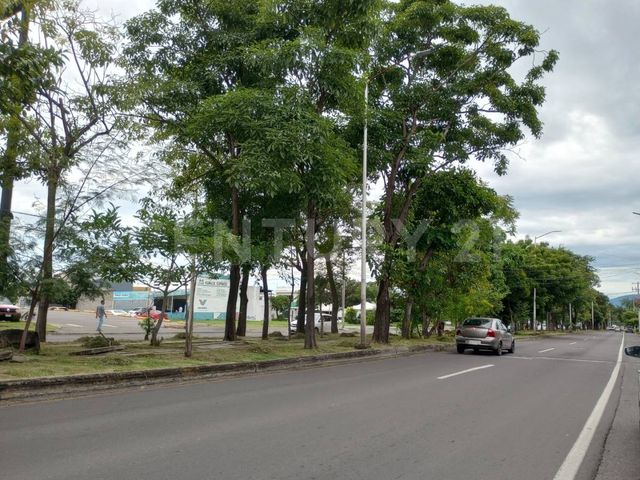 place photo 29