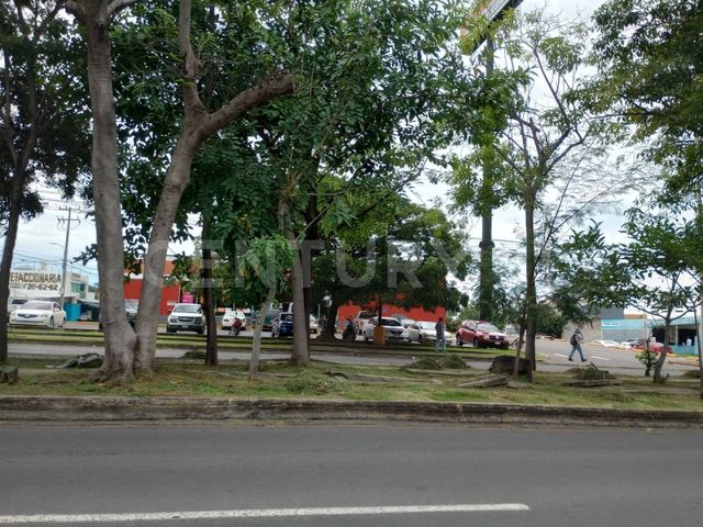 place photo 28