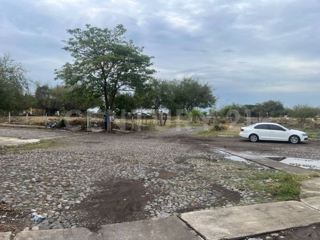 place photo 17