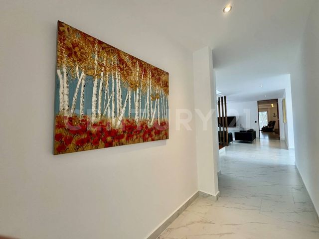 place photo 47