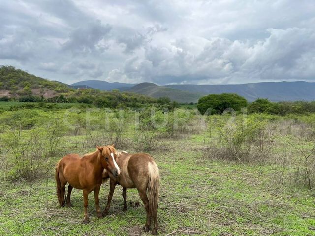 place photo 31