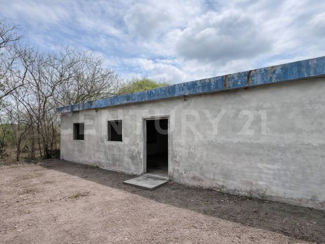 place photo 32