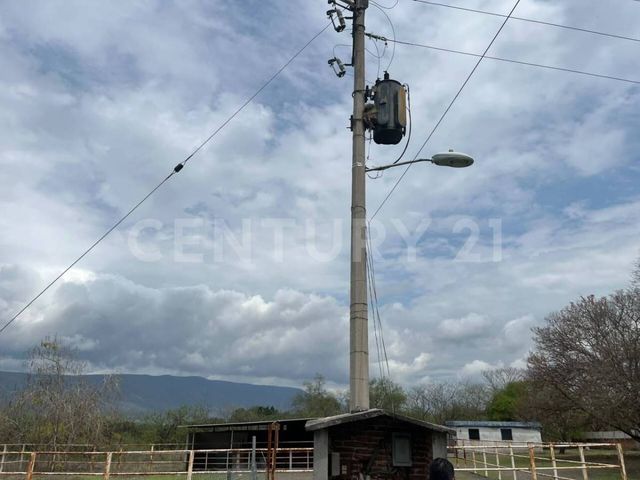 place photo 36
